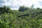 Peel Holdings Destruction at Birchfield Salford 